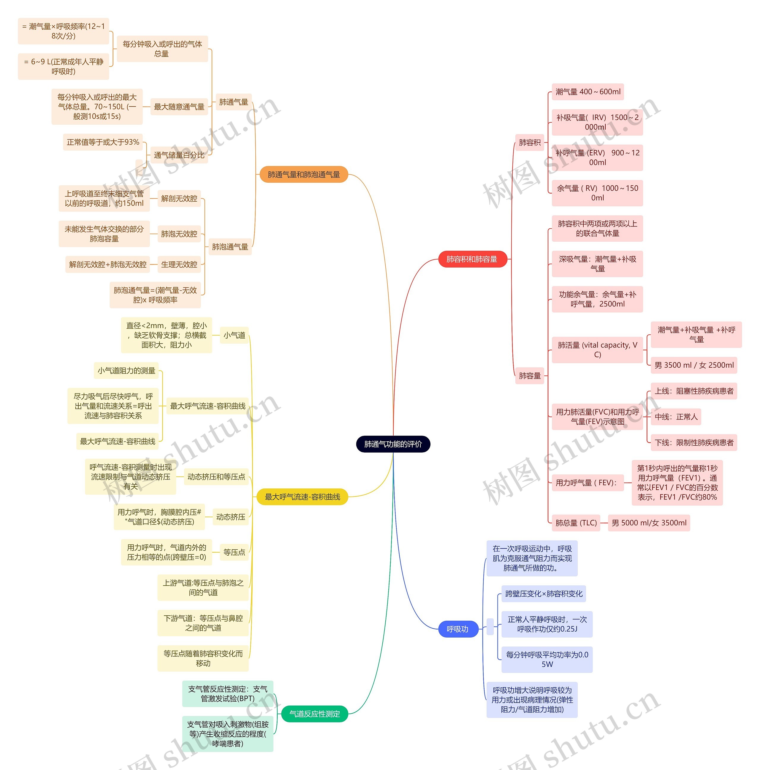 医学知识肺通气功能的评价思维导图