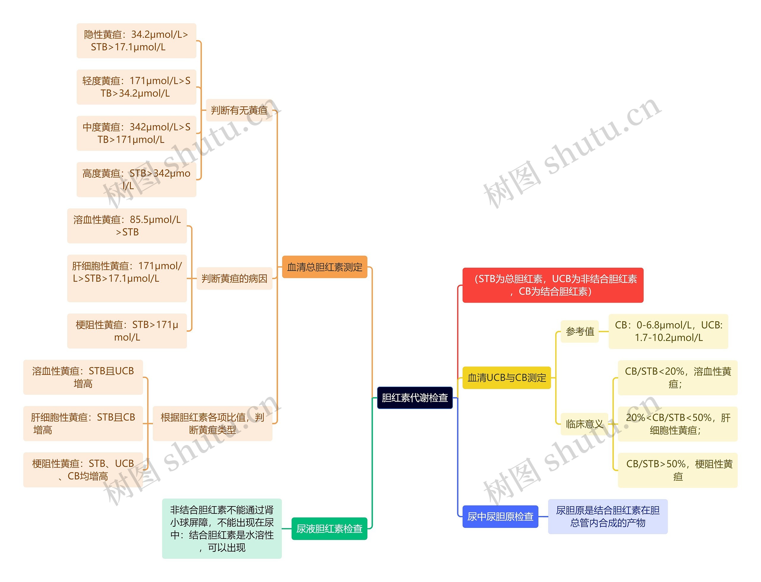 医学知识胆红素代谢检查思维导图