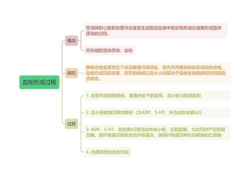 血栓形成过程