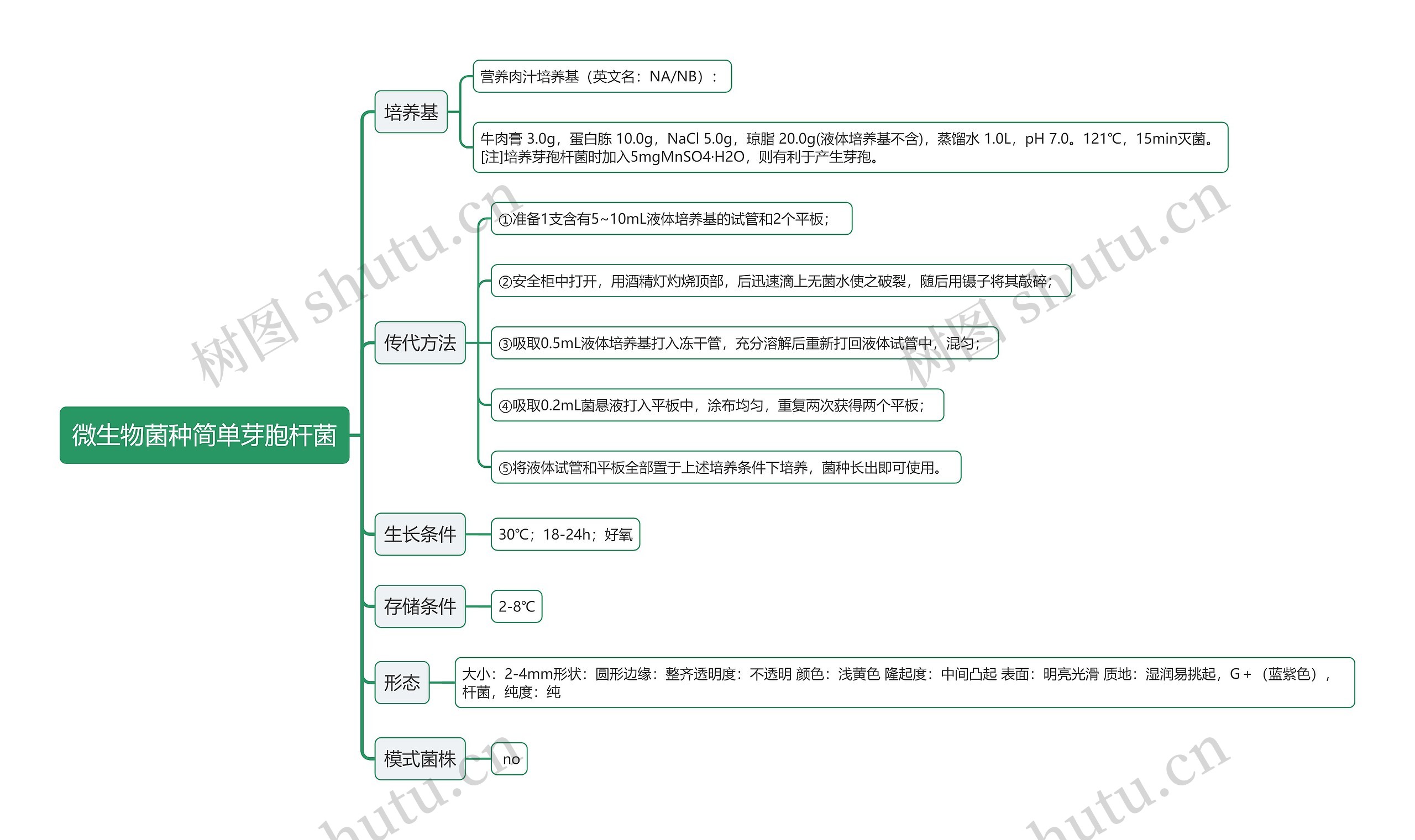 微生物菌种简单芽胞杆菌思维导图