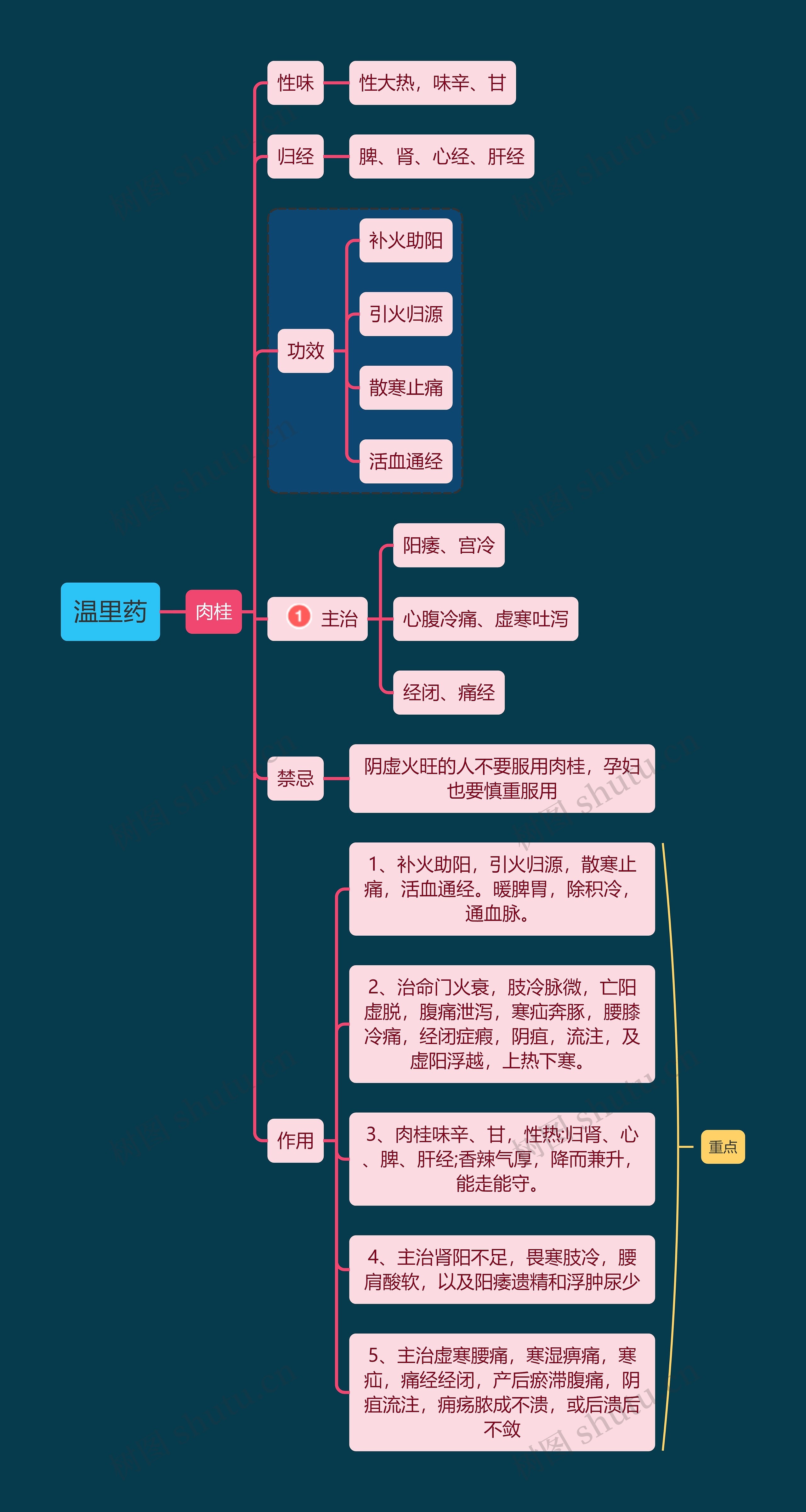 医学知识温里药肉桂思维导图