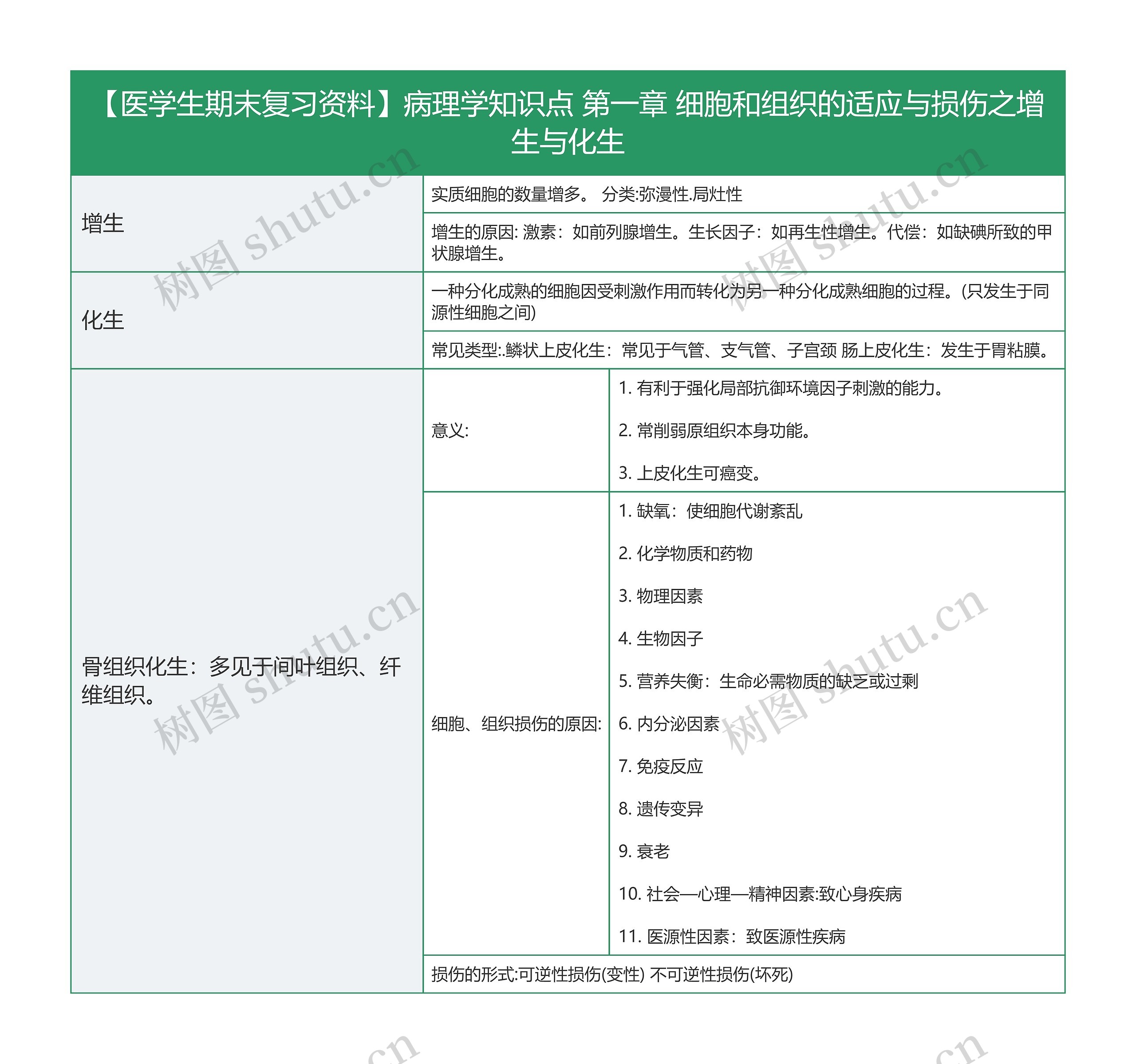 【医学生期末复习资料】病理学知识点 第一章 细胞和组织的适应与损伤之增生与化生