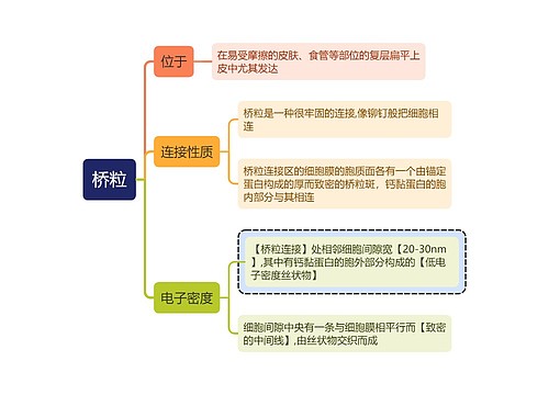 医学知识桥粒思维导图