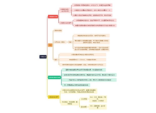 医学知识小肠运动思维导图