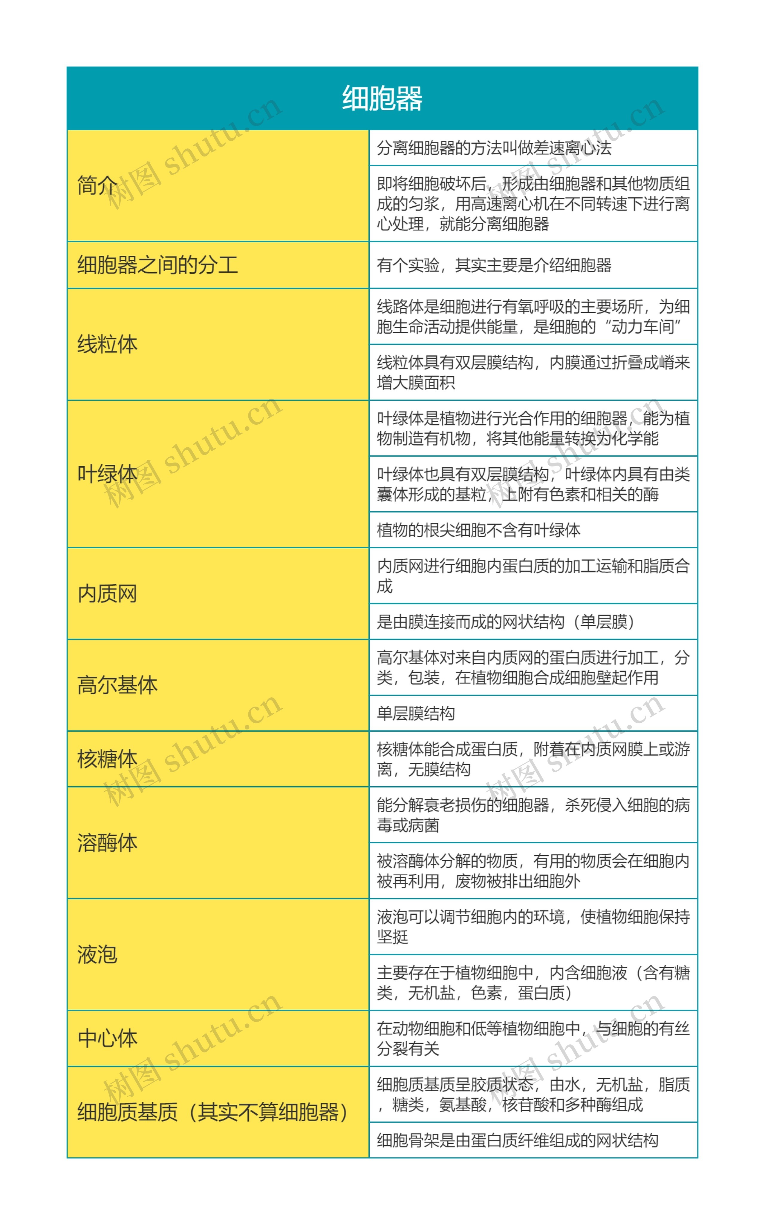 高中生物必修一第三单元细胞器思维导图