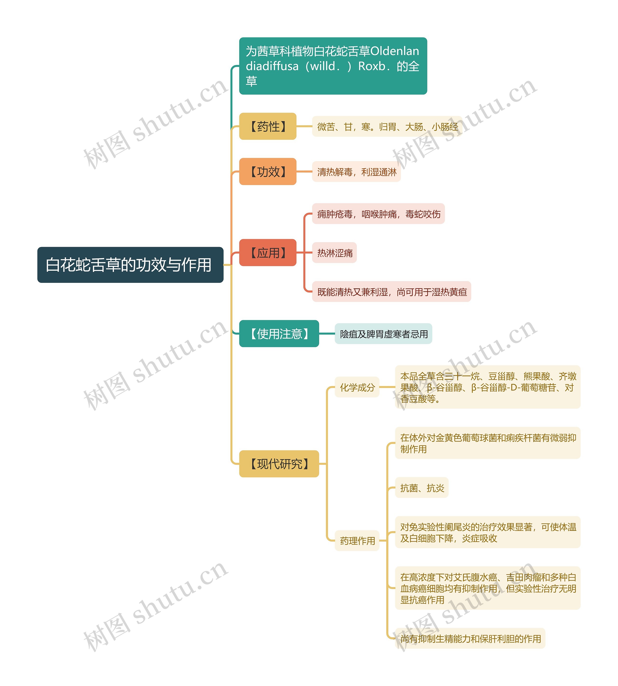 白花蛇舌草的功效与作用
思维导图