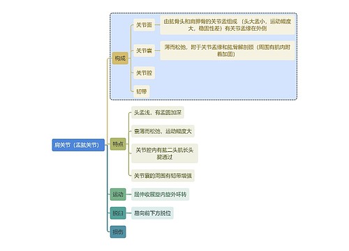 骨学知识肩关节（盂肱关节）思维导图