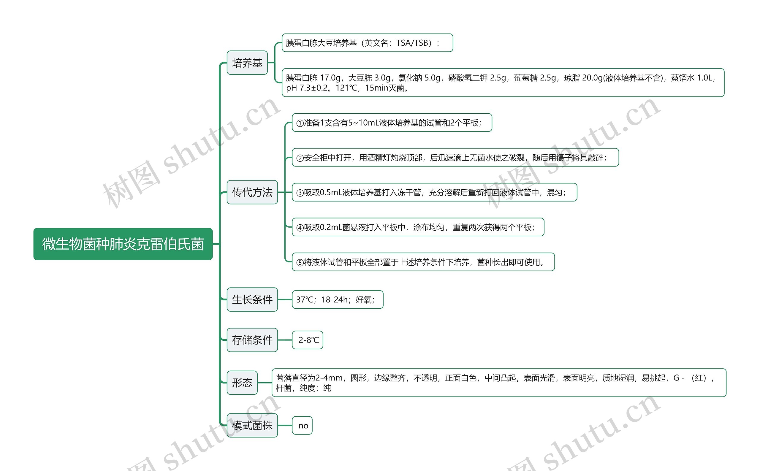 微生物菌种肺炎克雷伯氏菌思维导图