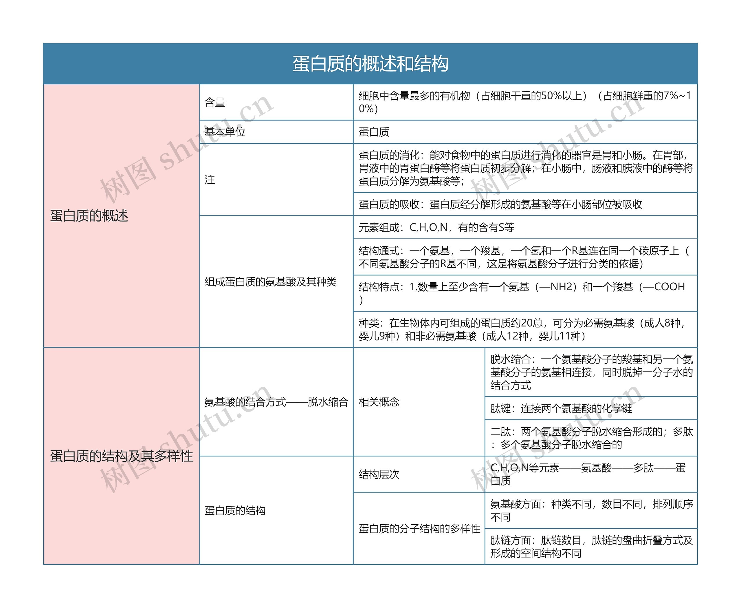 高中生物必修一蛋白质的概述和结构思维导图