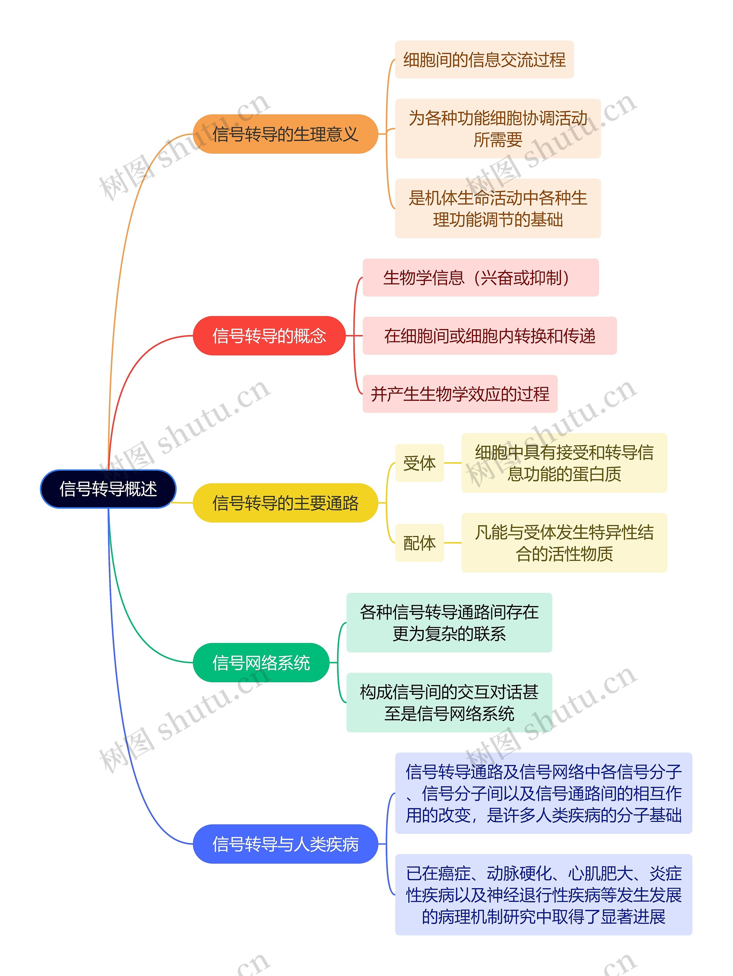 医学知识信号转导概述思维导图