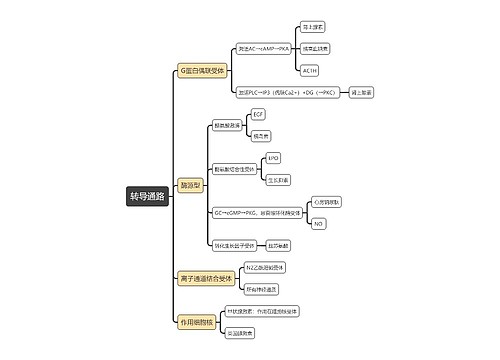 医学知识转导通路思维导图