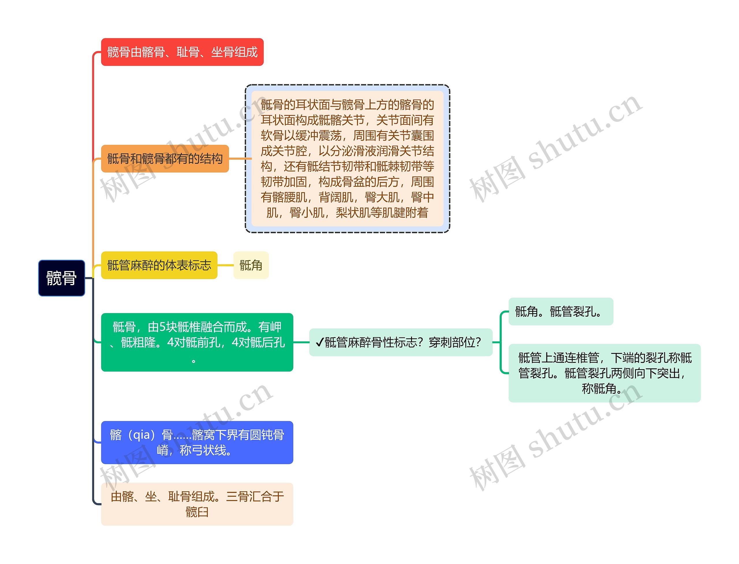 医学知识髋骨的结构和组成思维导图