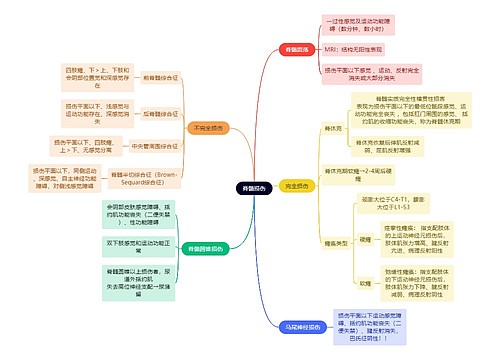 骨学知识脊髓损伤思维导图