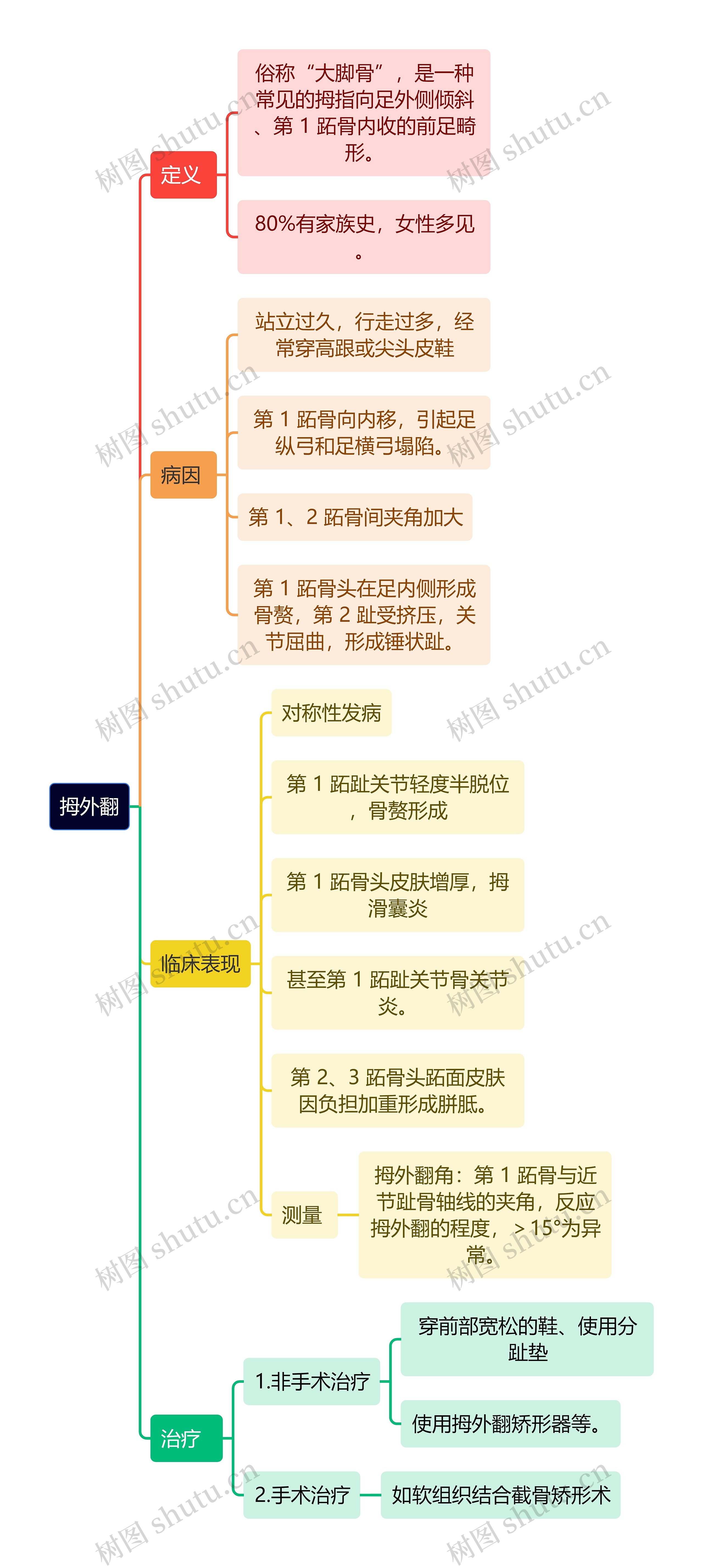 骨学知识拇外翻思维导图