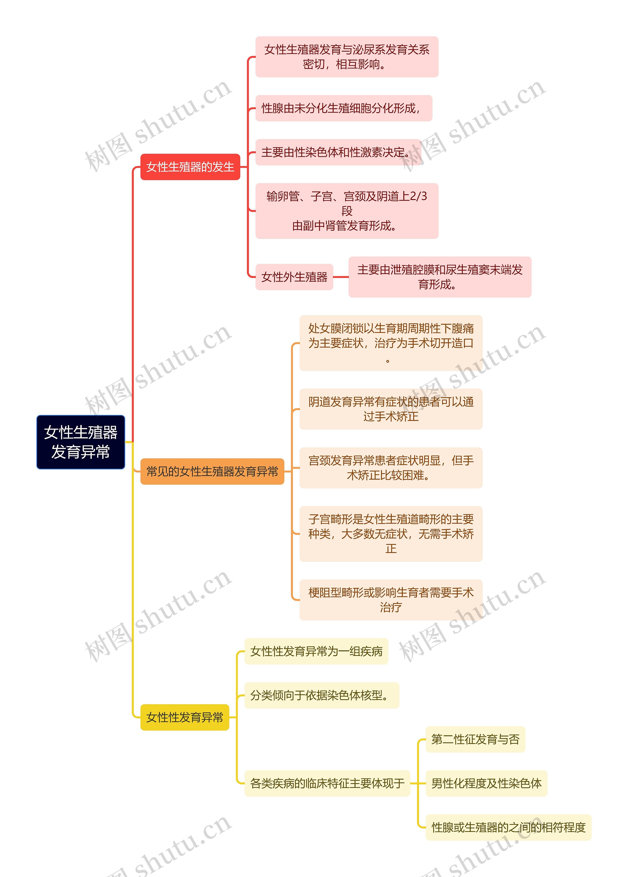 医学知识女性生殖器发育异常思维导图