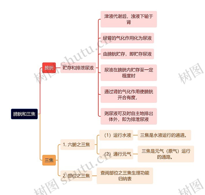 中医知识膀胱和三焦思维导图_编号t6584223-TreeMind树图