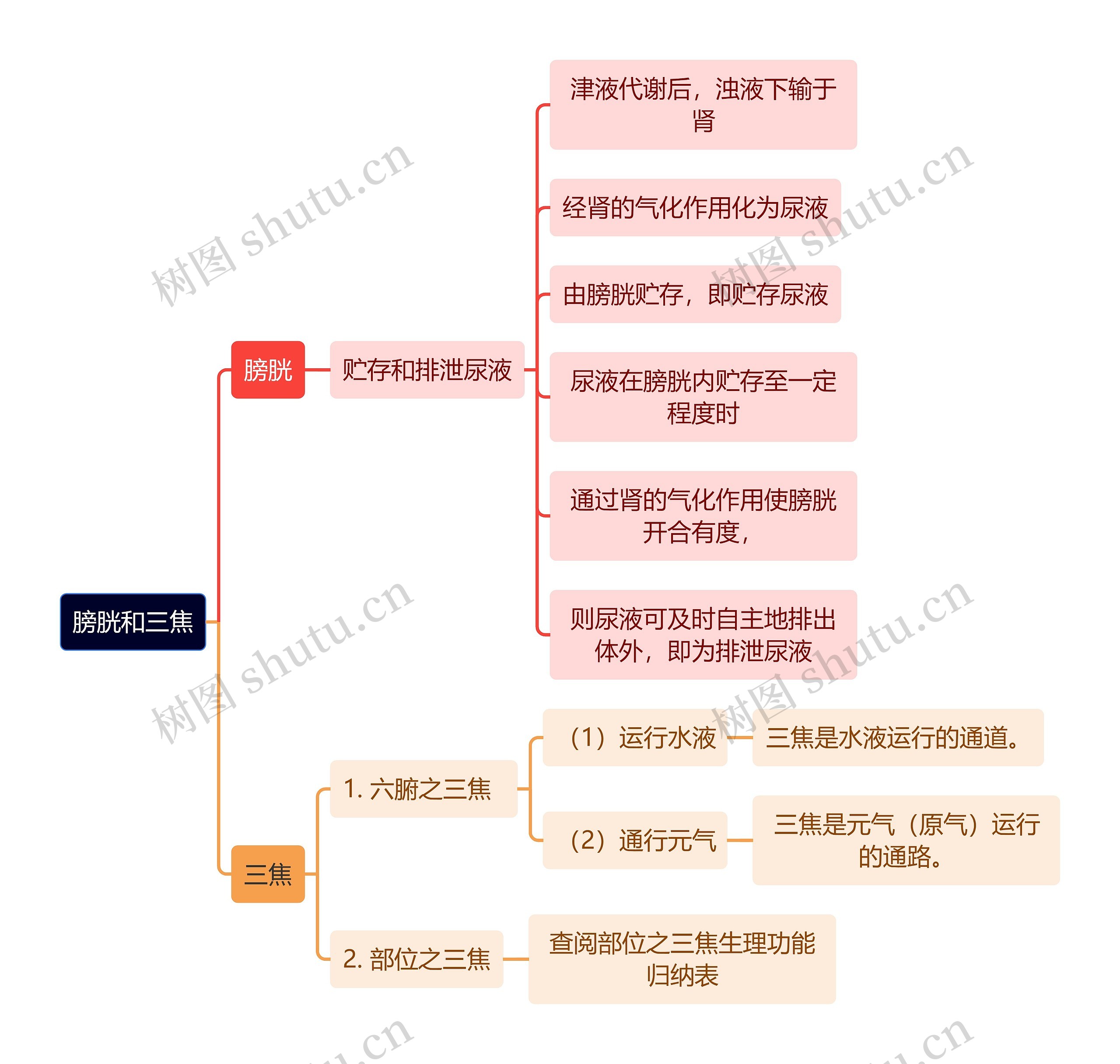 中医知识膀胱和三焦思维导图