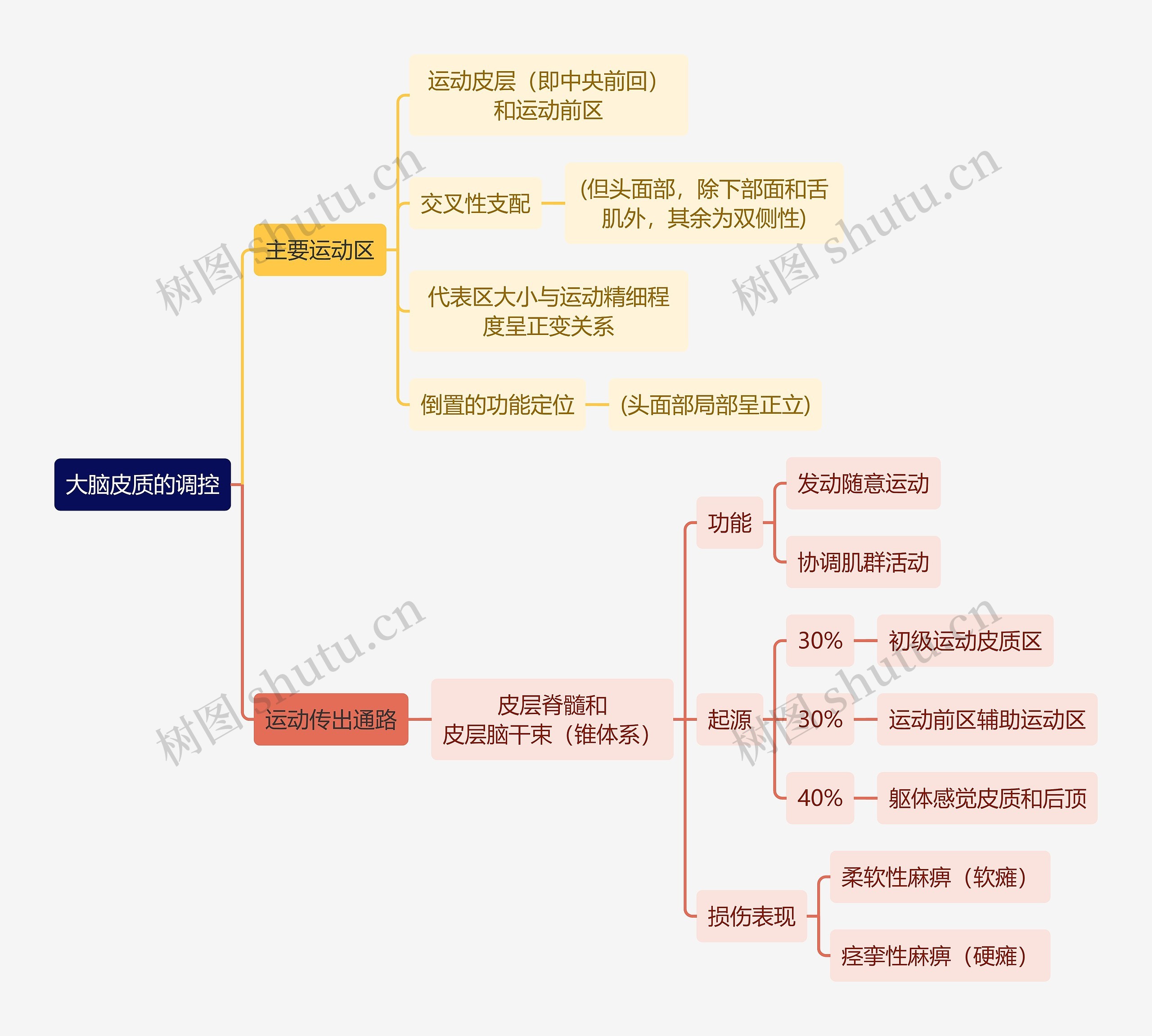 医学知识大脑皮质的调控思维导图