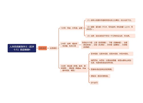 《人体系统解剖学三（肌学十六）前庭蜗器4》思维导图