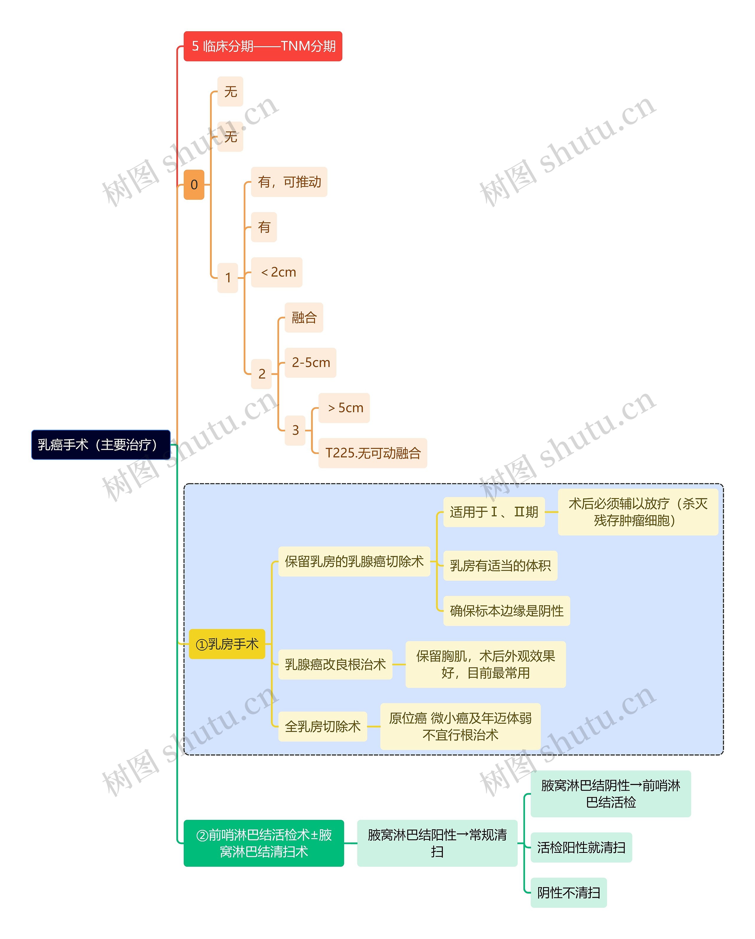 医学知识乳癌手术（主要治疗）思维导图