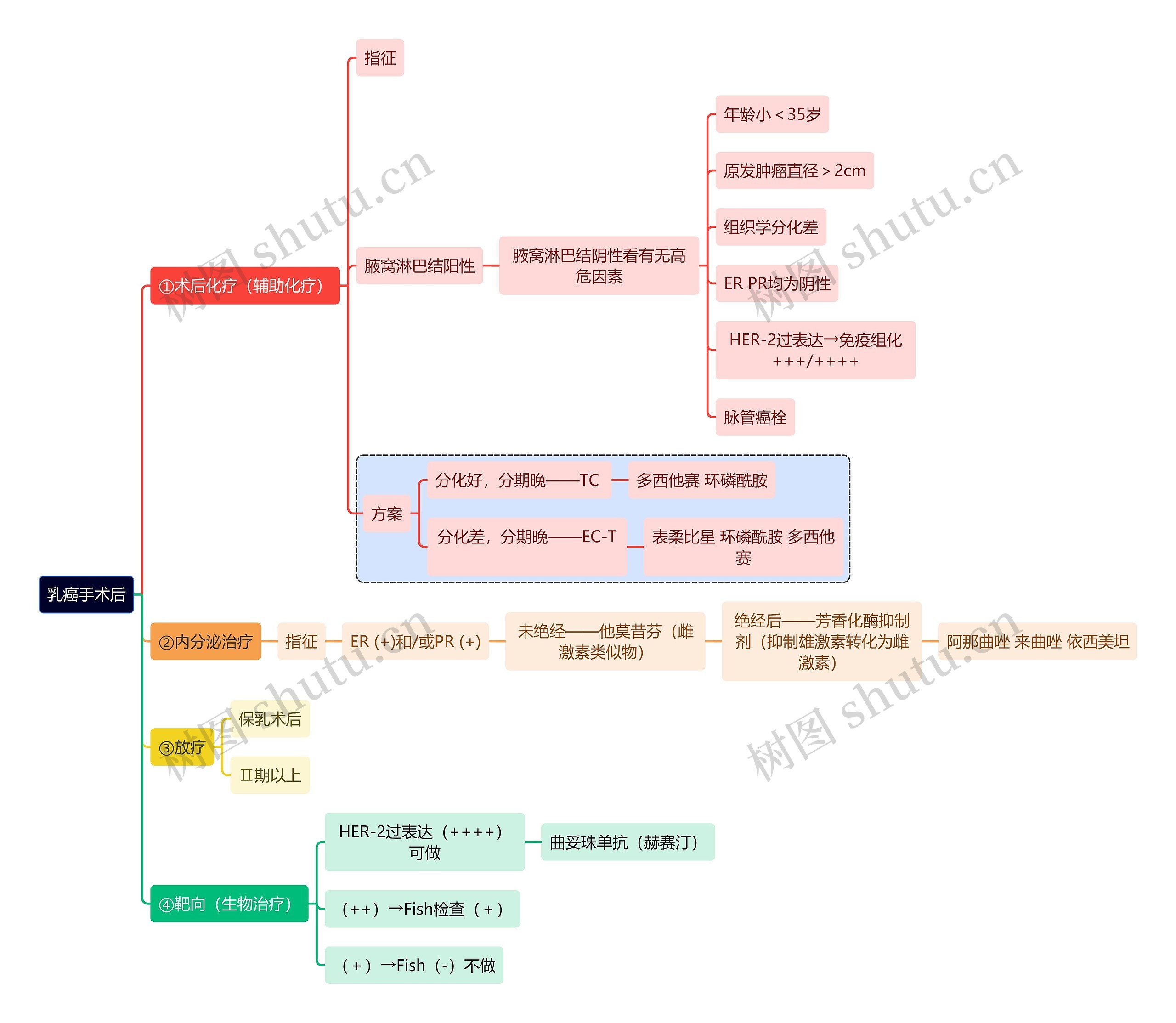 医学知识乳癌手术后思维导图