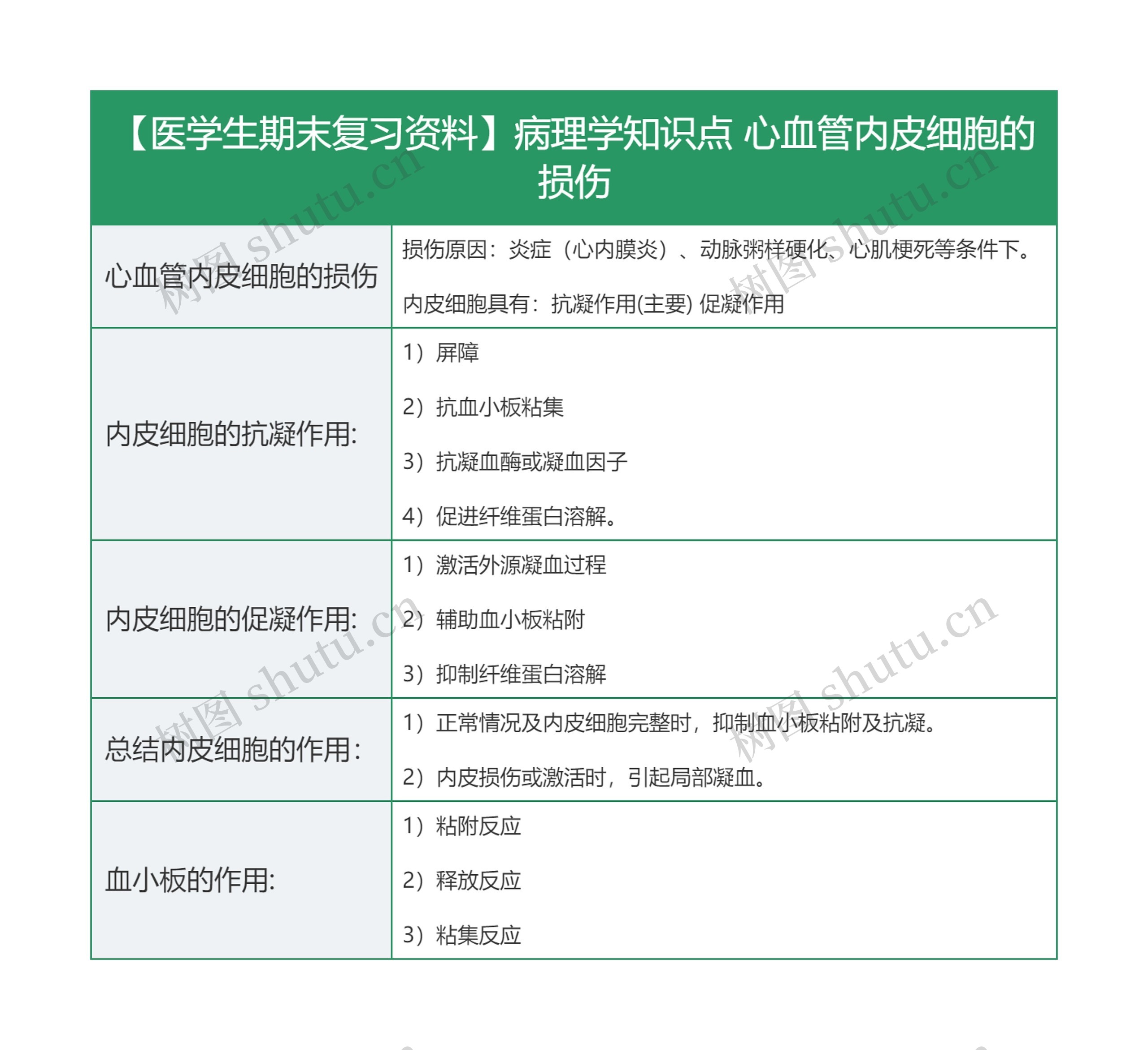 【医学生期末复习资料】病理学知识点 心血管内皮细胞的损伤思维导图