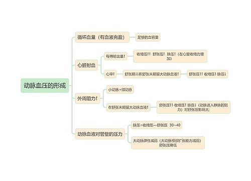 医学知识动脉血压的形成思维导图