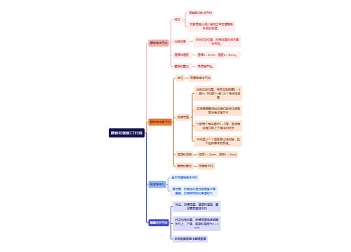 医学知识腰椎和骶椎CT扫描思维导图