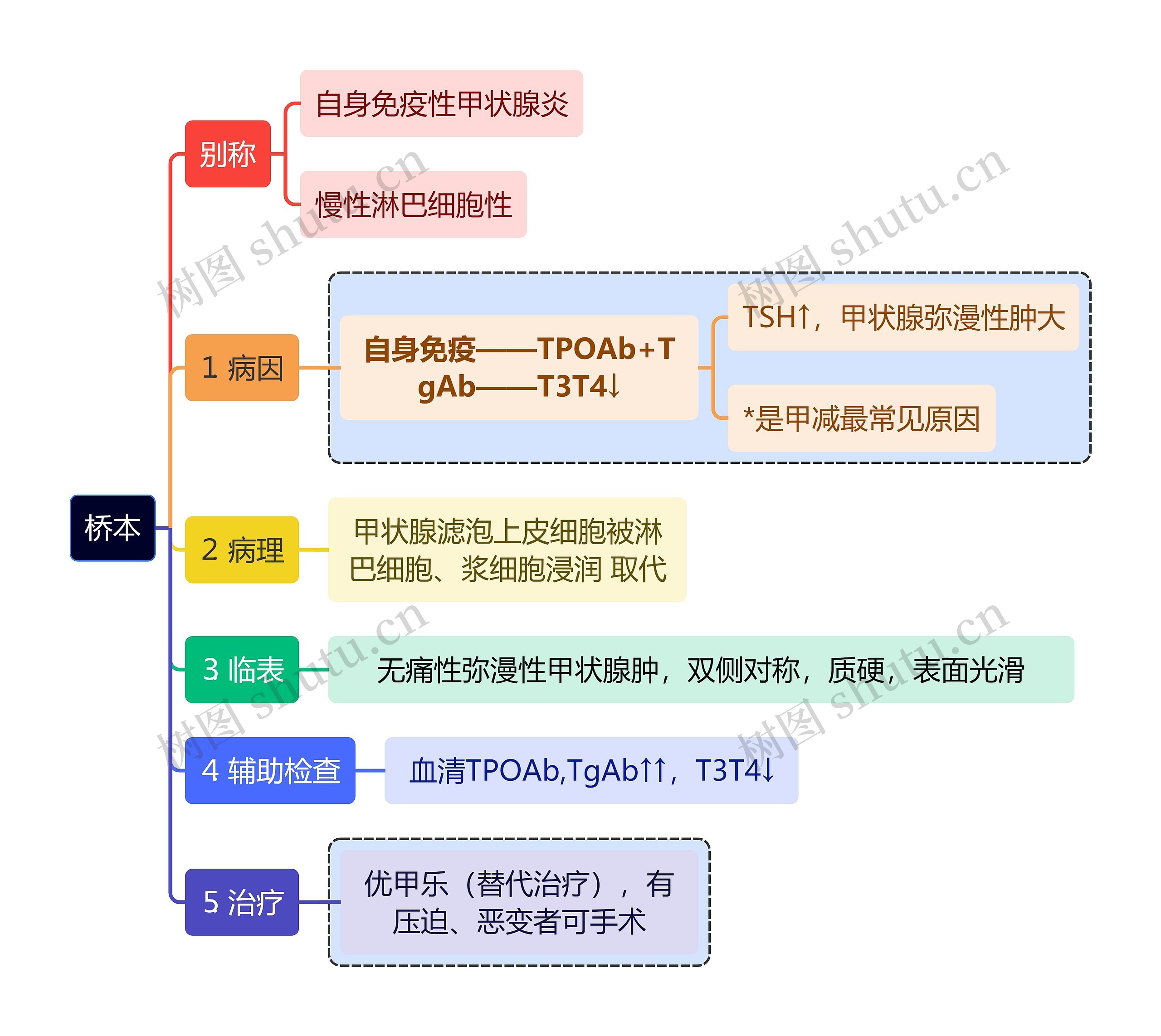 医学知识桥本思维导图