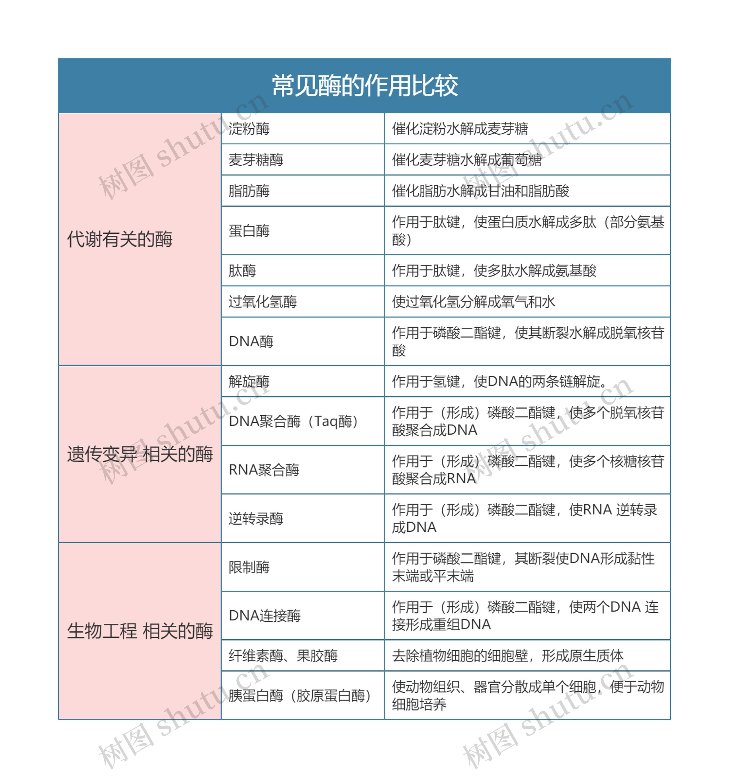 高中生物必修一常见酶的作用比较思维导图