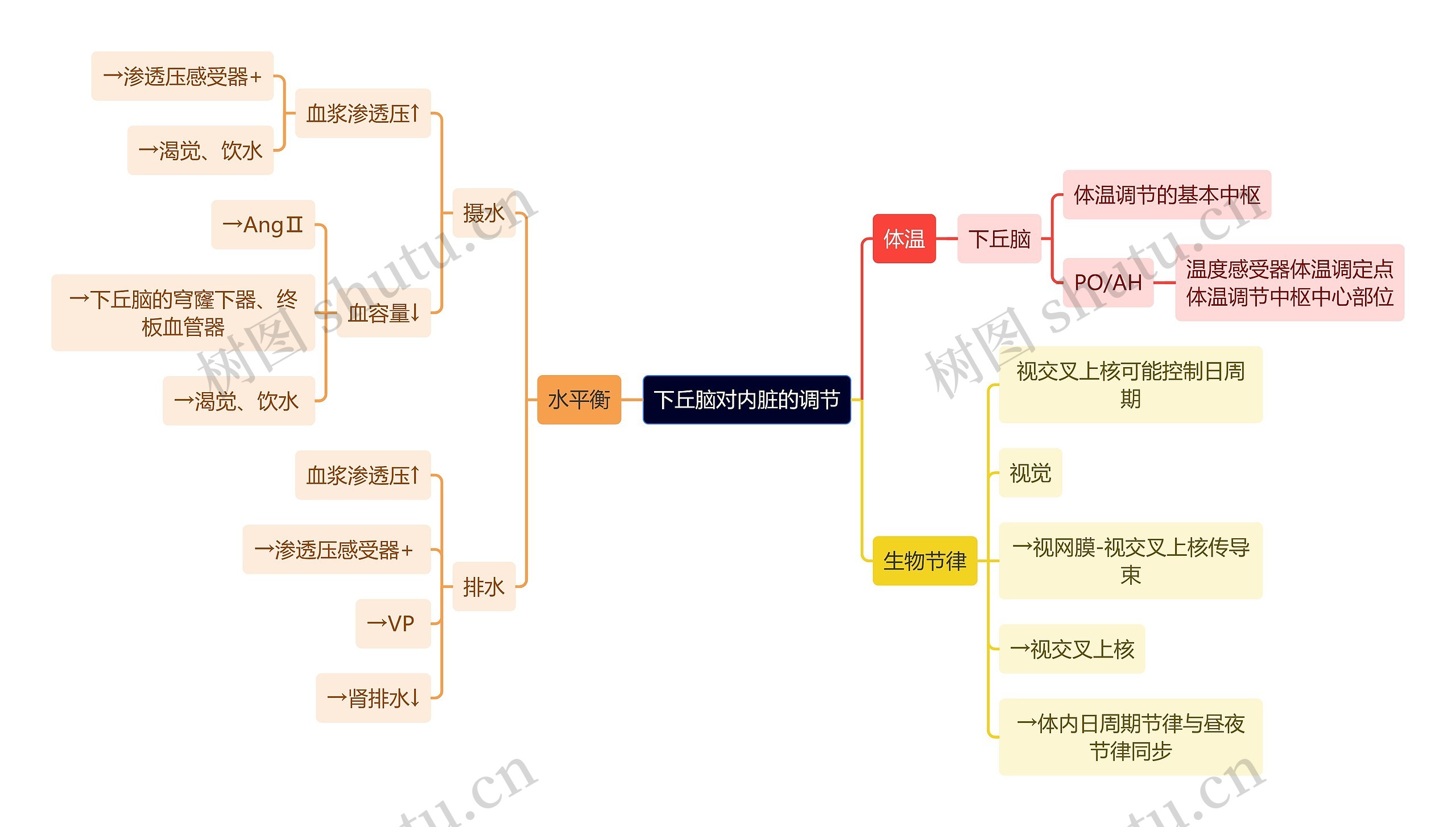 医学知识下丘脑对内脏的调节思维导图