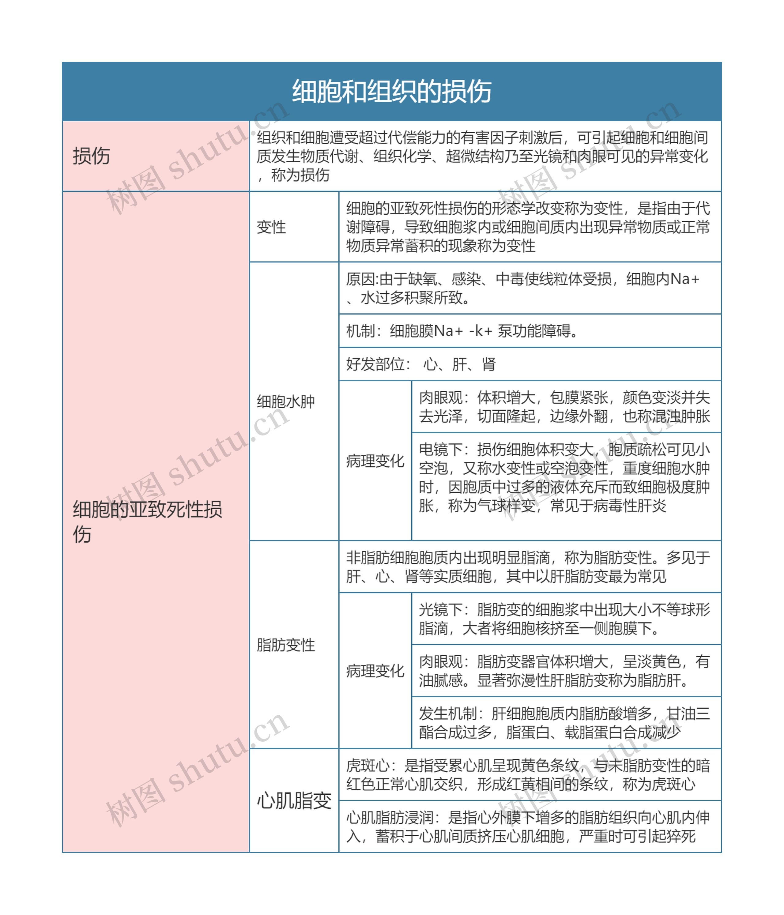 病理学  细胞和组织的损伤思维导图