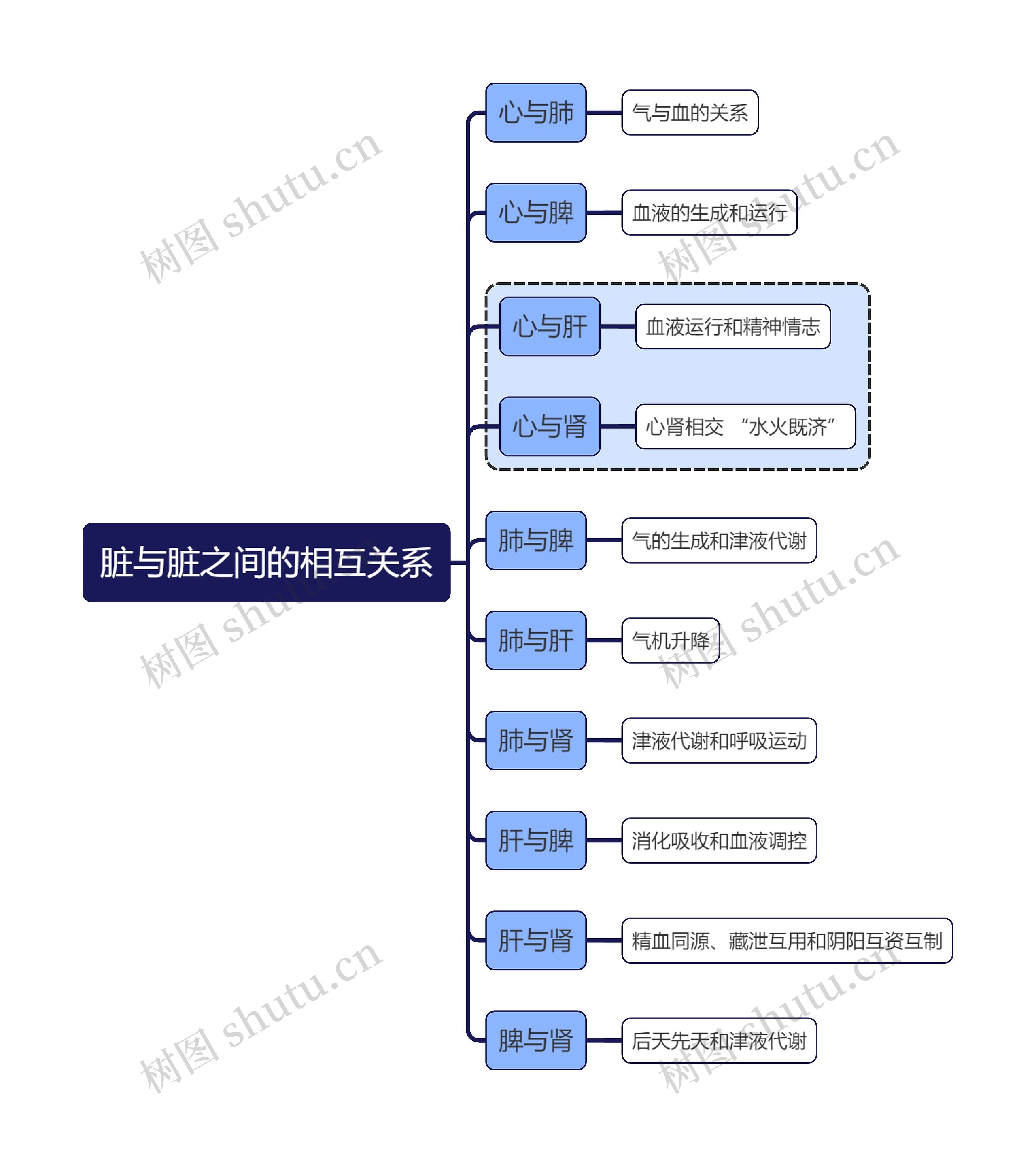 中医知识脏与脏之间的相互关系思维导图