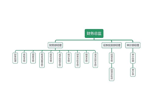 企业财务岗位组织架构