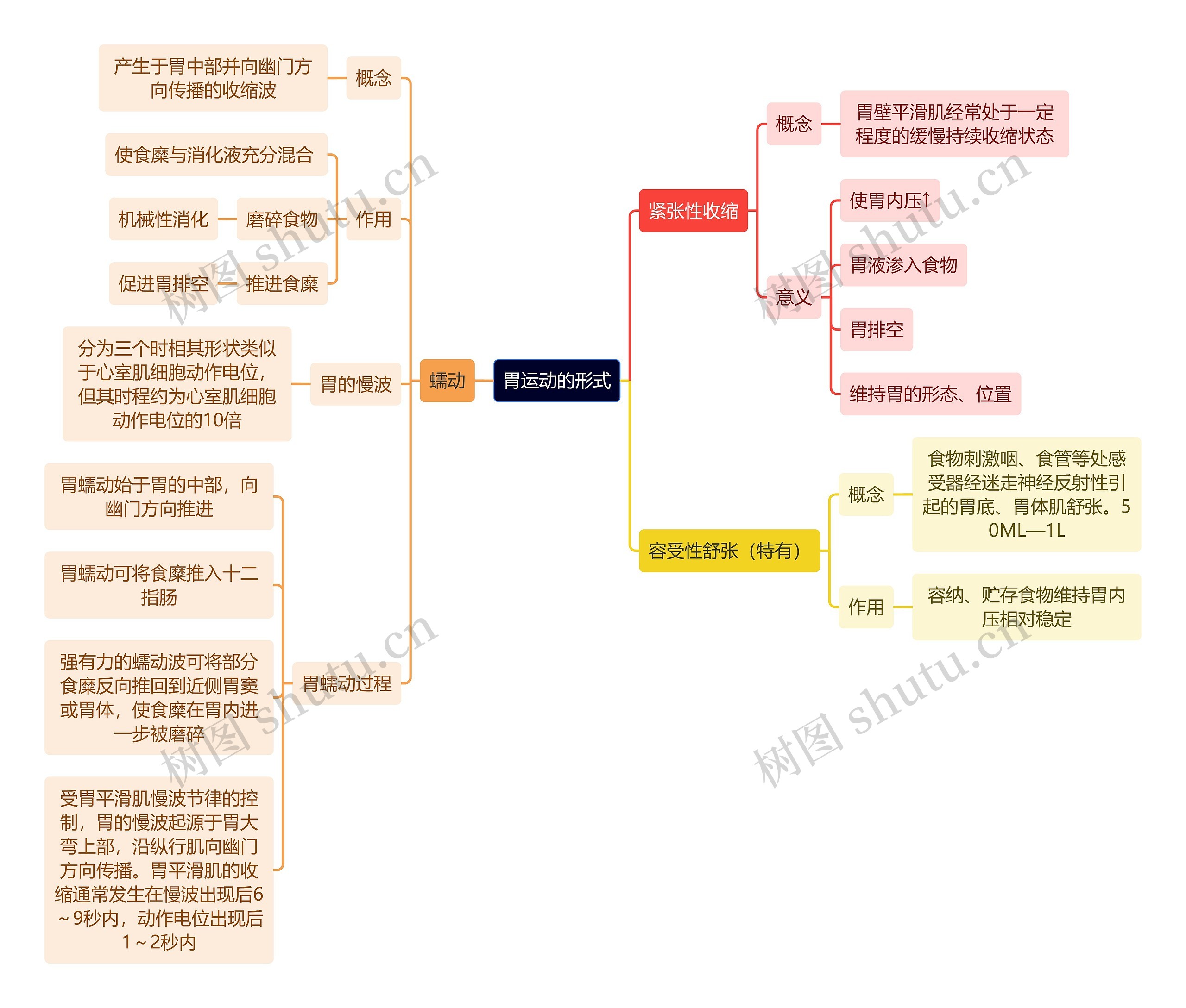 医学知识胃运动的形式思维导图