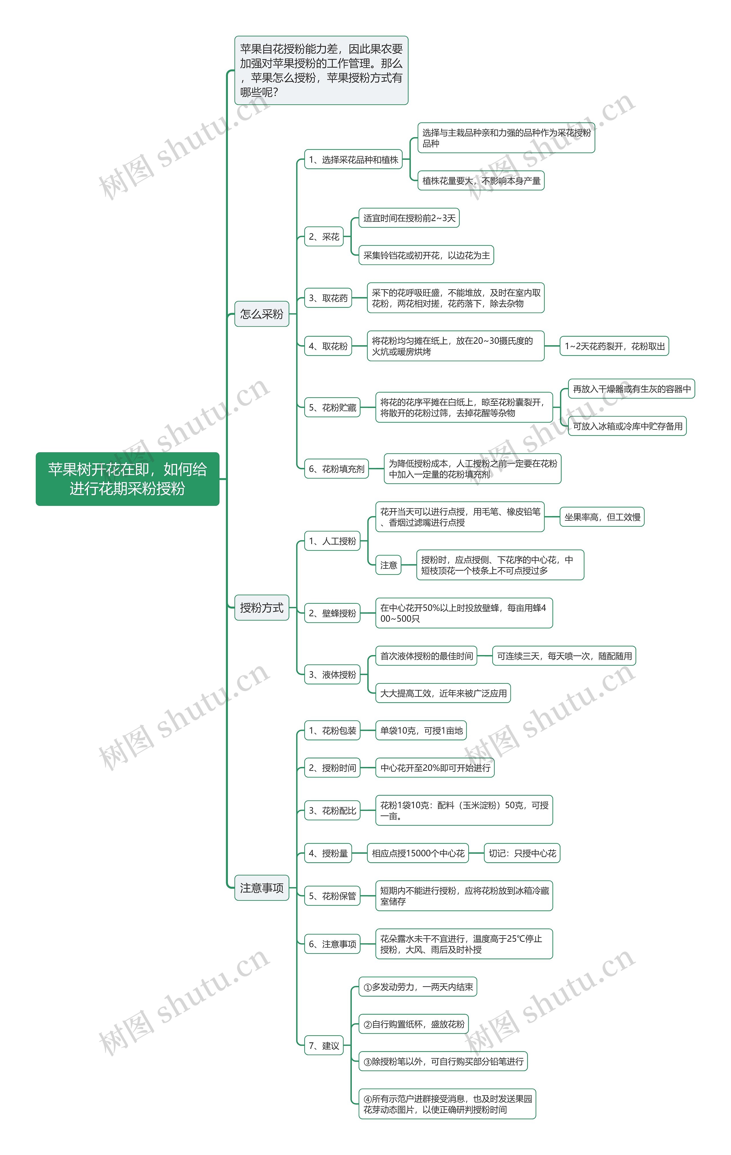 苹果树开花在即，如何给进行花期采粉授粉思维导图