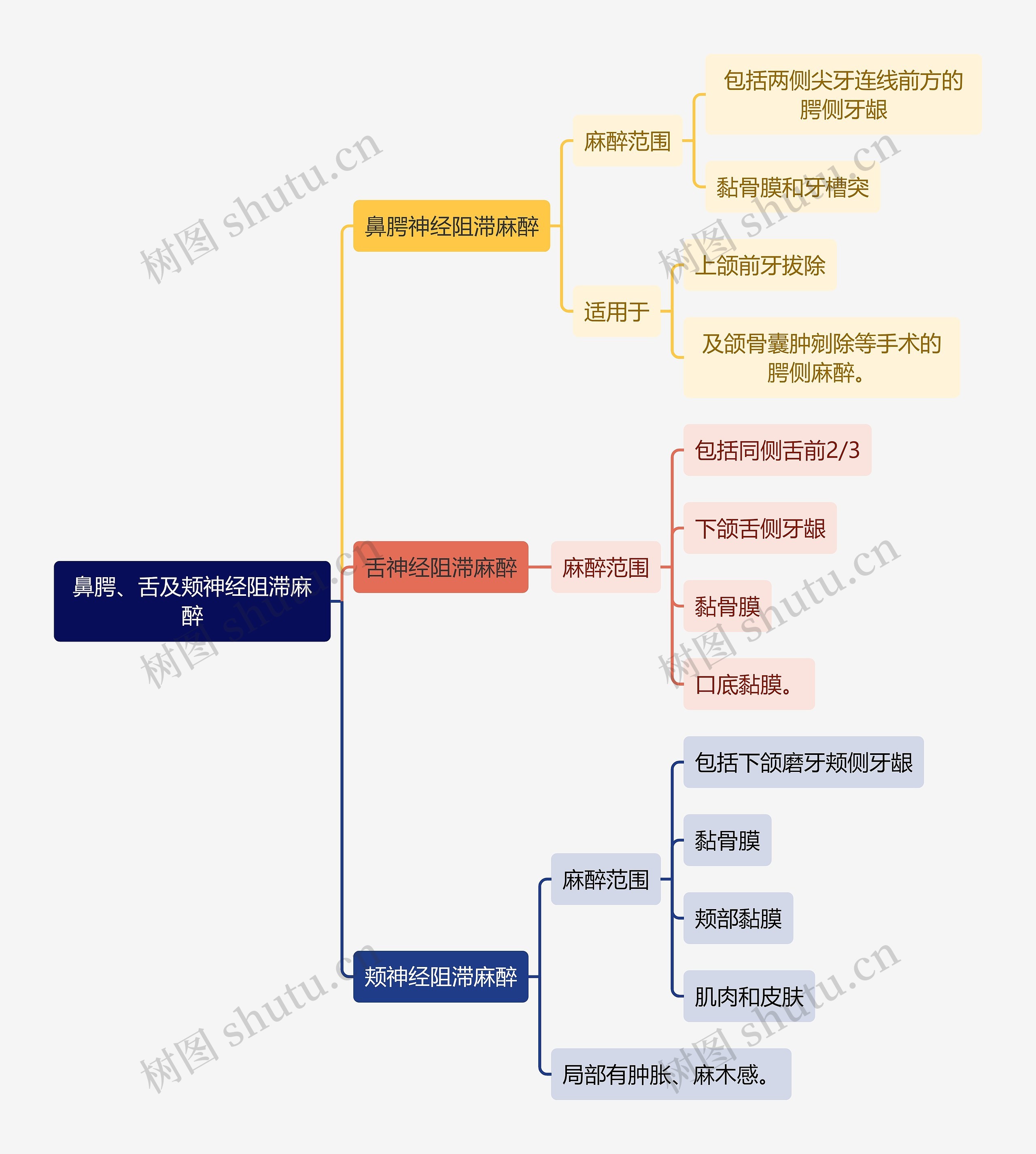 医学知识鼻腭、舌及颊神经阻滞麻醉思维导图