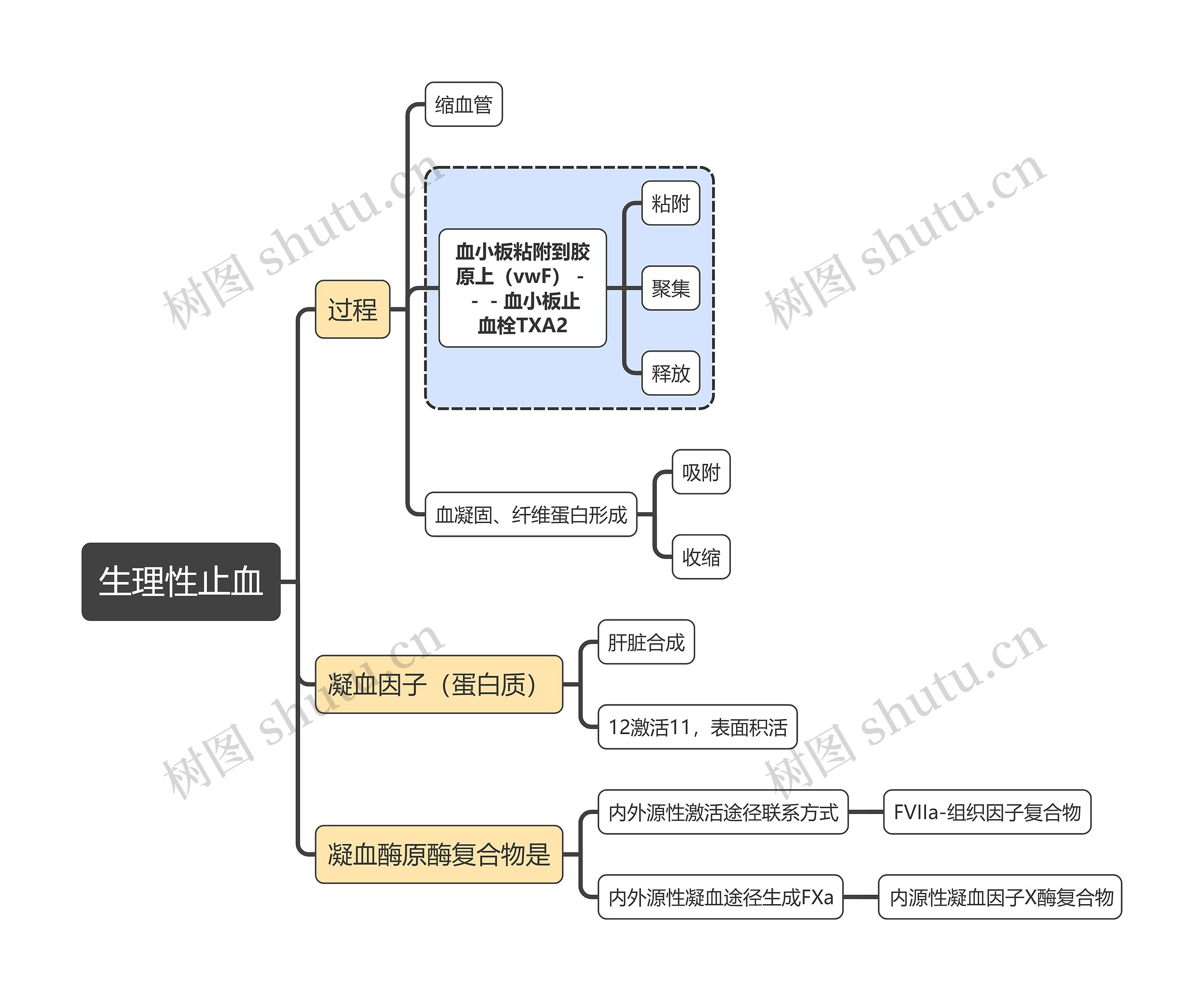 医学知识生理性止血思维导图