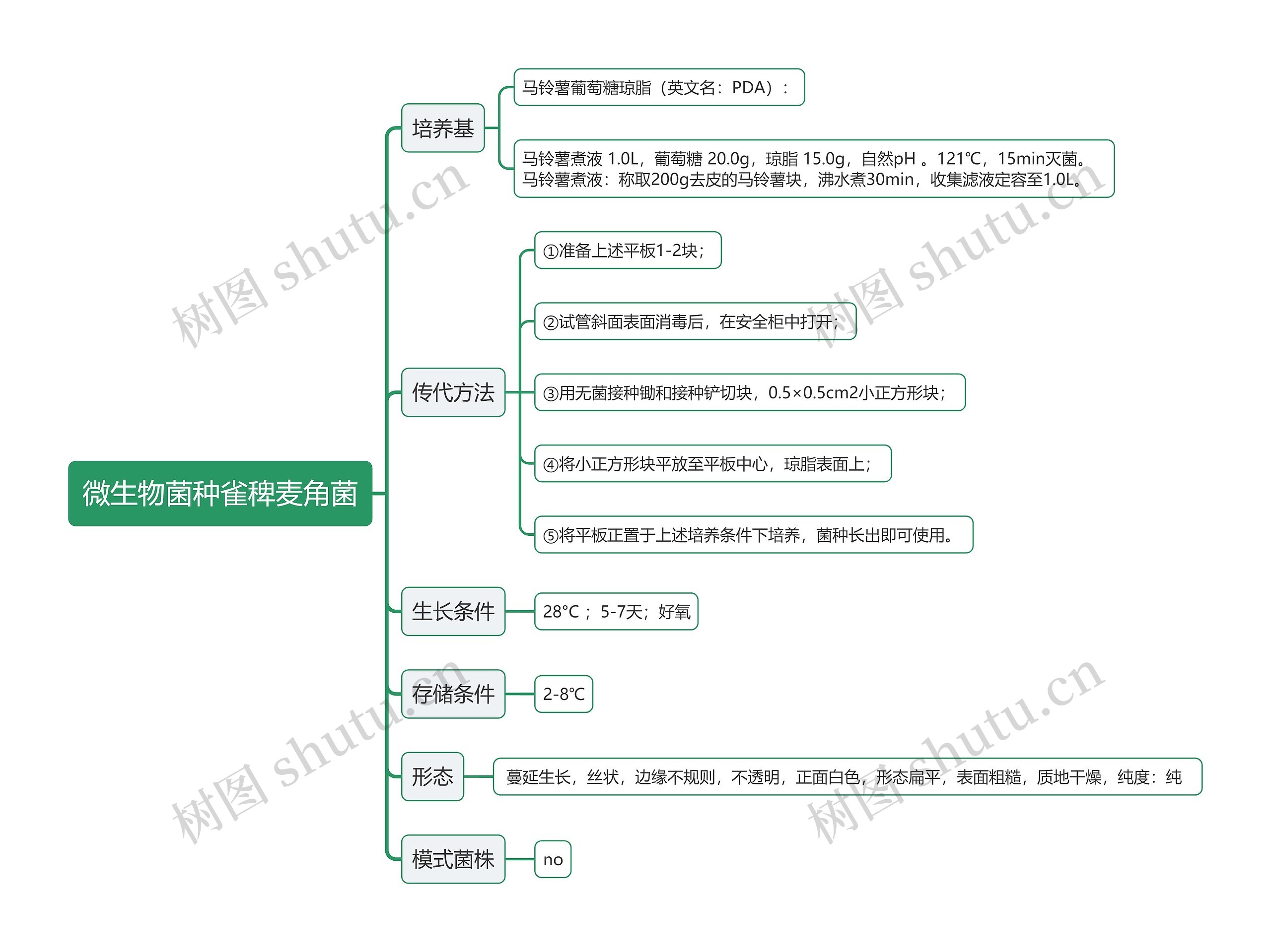 微生物菌种雀稗麦角菌思维导图高清图 微生物菌种雀稗麦角菌思维导图