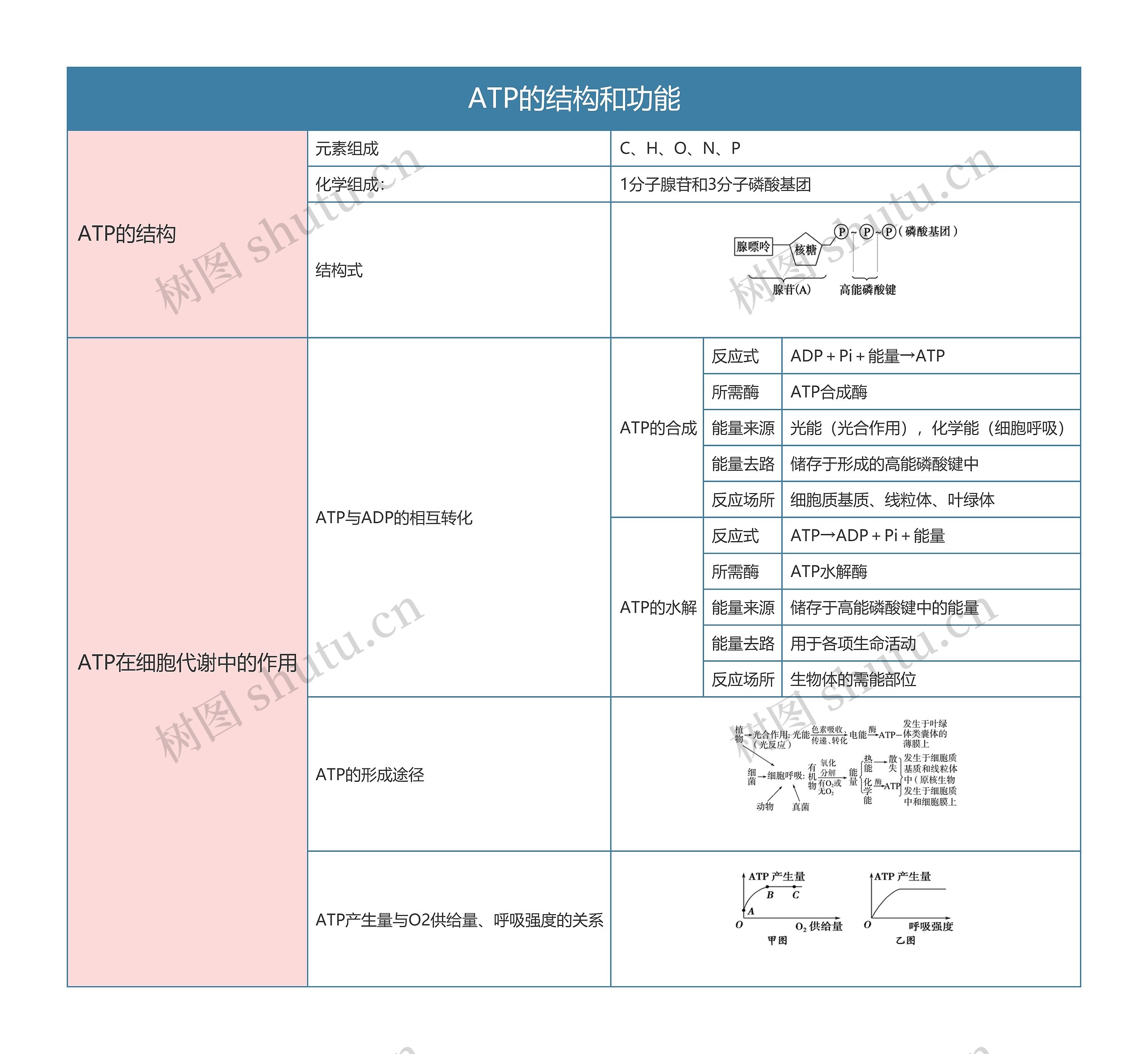 高中生物必修一ATP的结构和功能思维导图