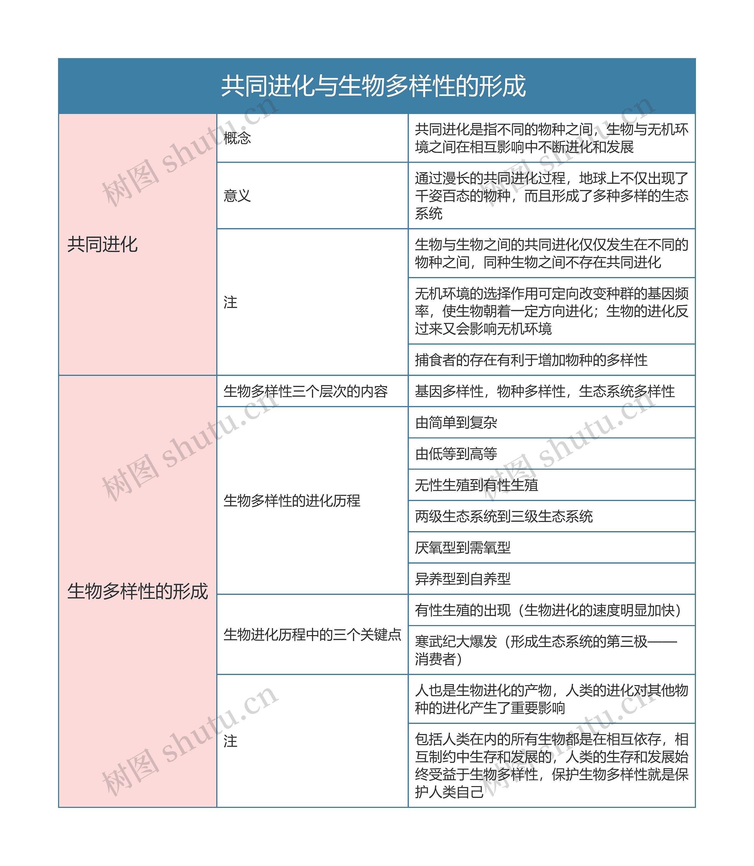 高中生物必修二共同进化与生物多样性的形成思维导图