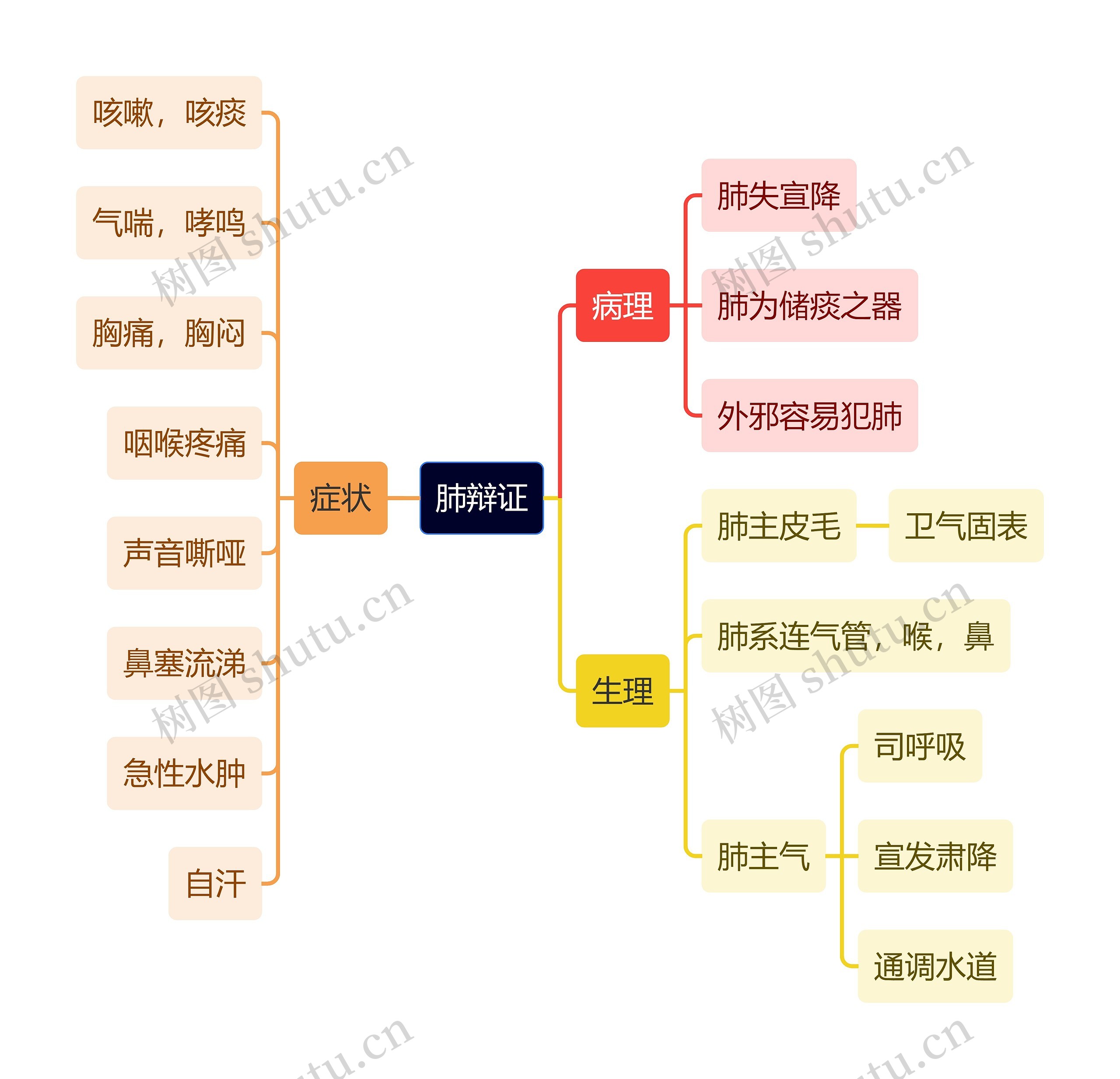 中医知识肺辩证思维导图