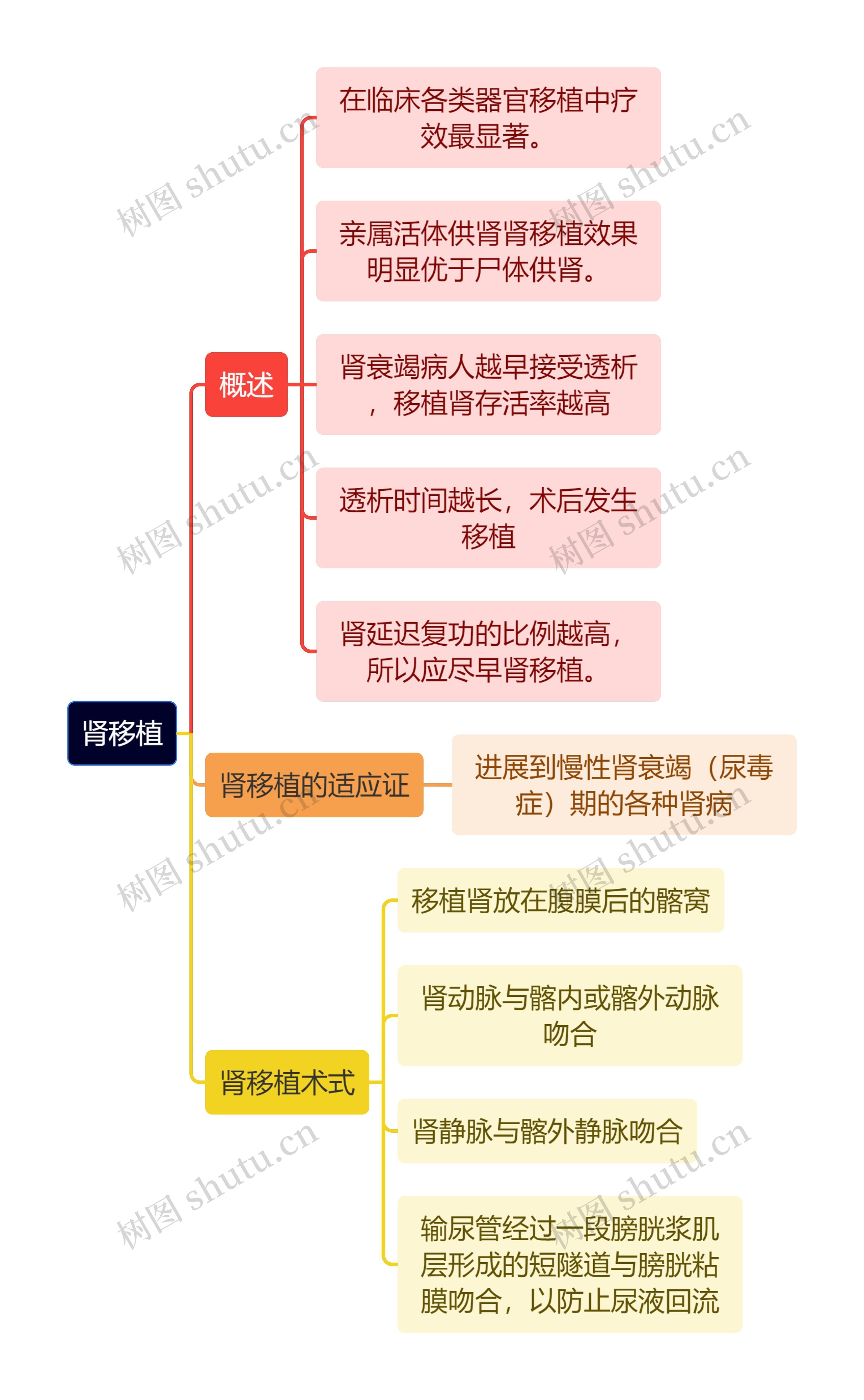 医学知识肾移植思维导图