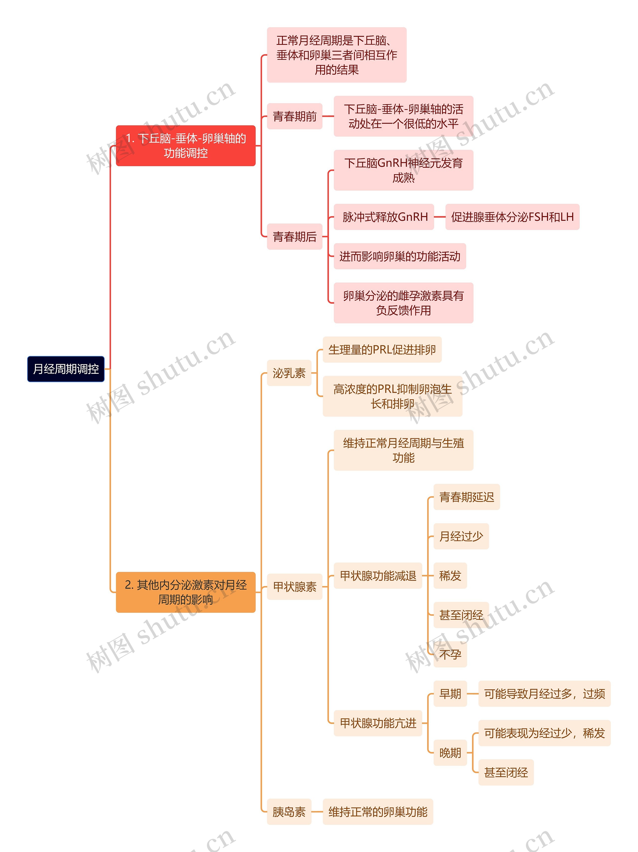 医学知识月经周期调控思维导图