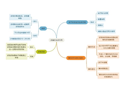 医学知识卵巢的生卵作用思维导图