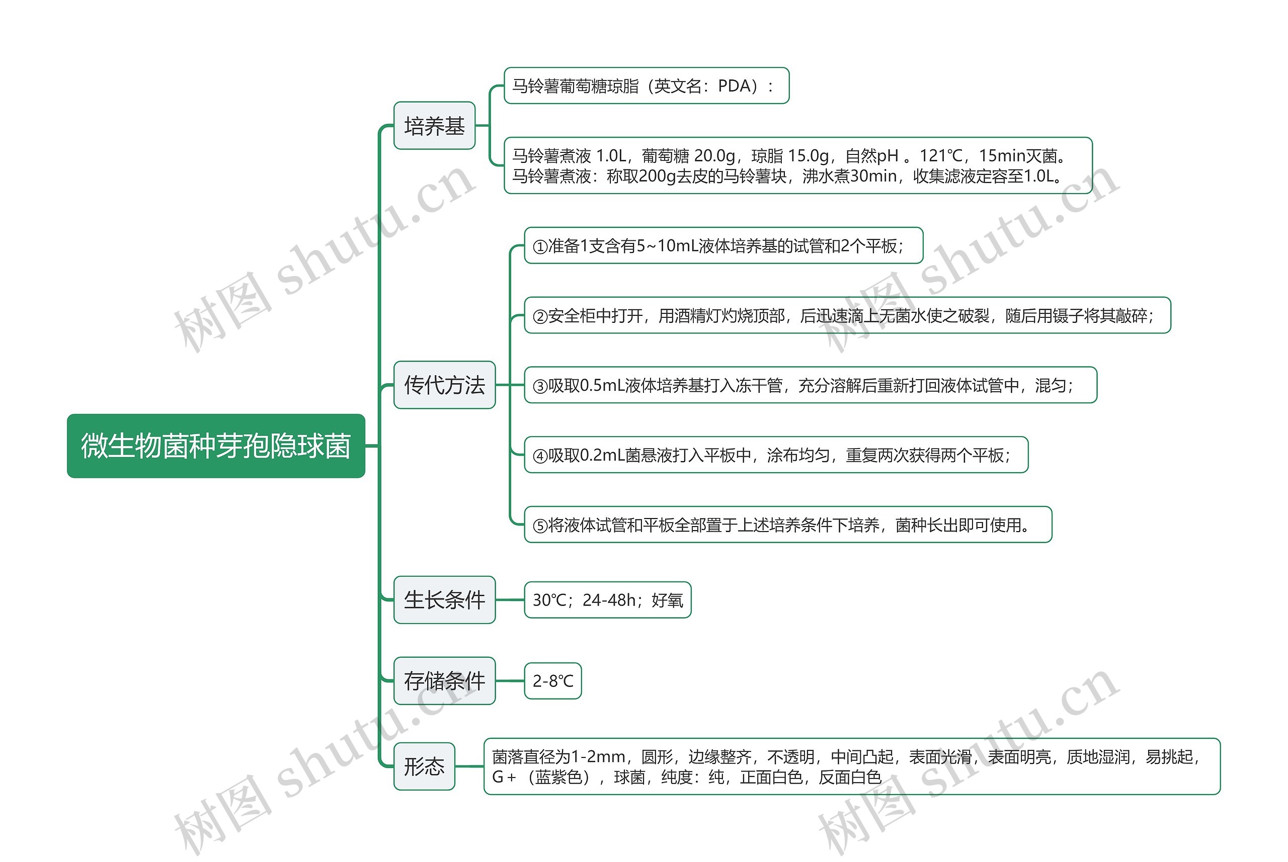 微生物菌种芽孢隐球菌思维导图