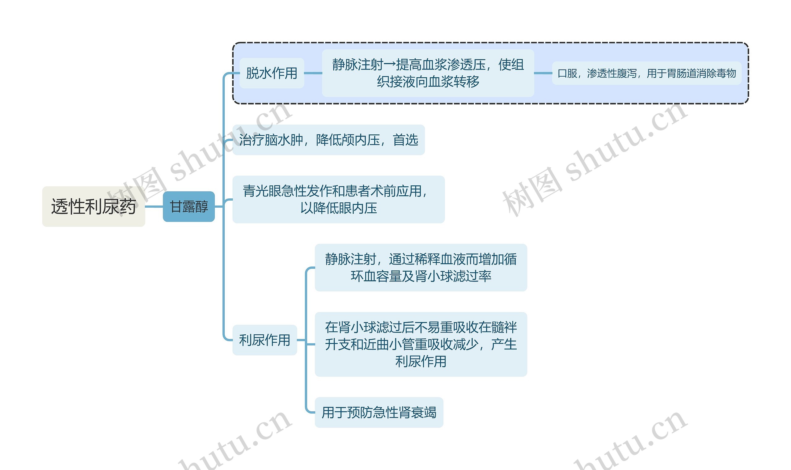 医学透性利尿药思维导图