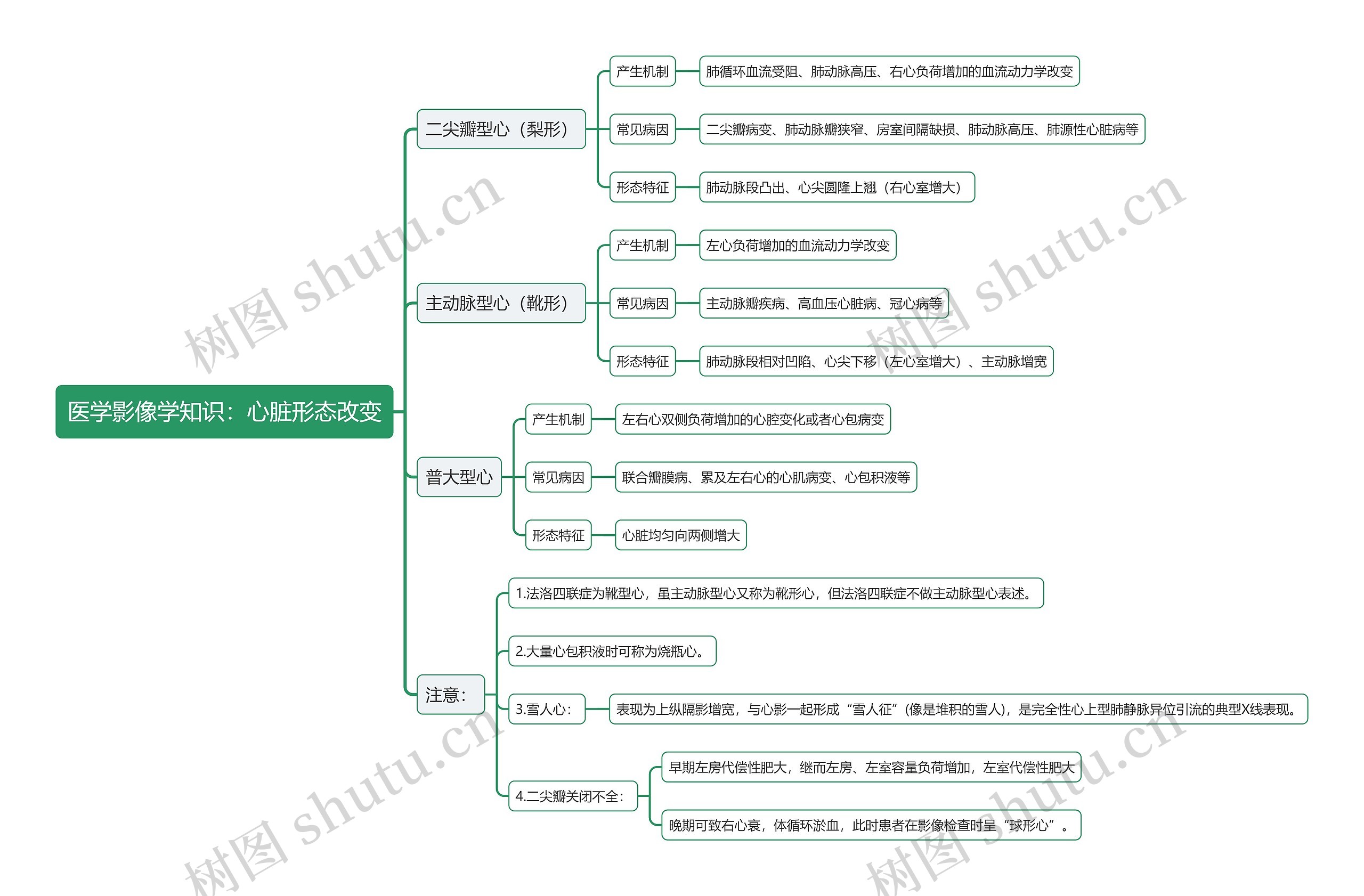 医学影像学知识：心脏形态改变思维导图