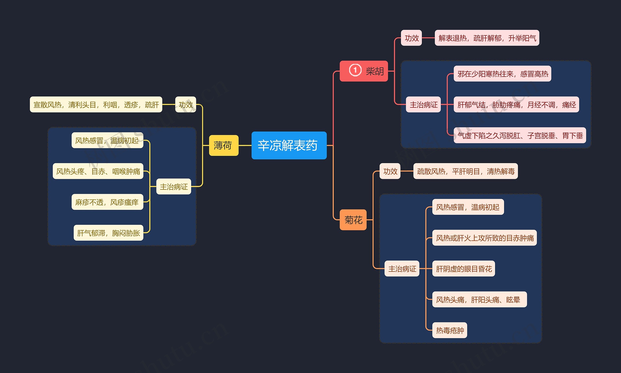 医学知识辛凉解表药思维导图