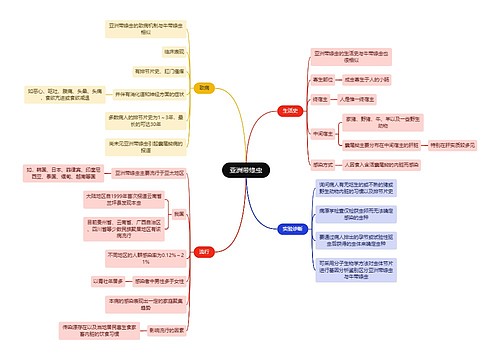 医学知识亚洲带绦虫思维导图